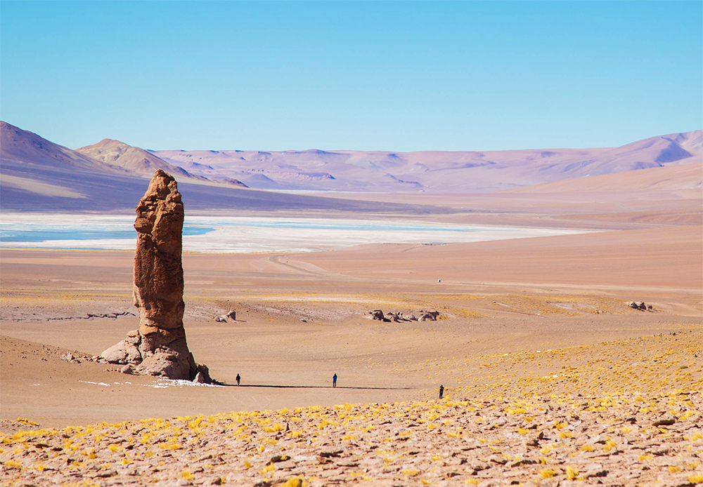 salar-de-tara-atacama